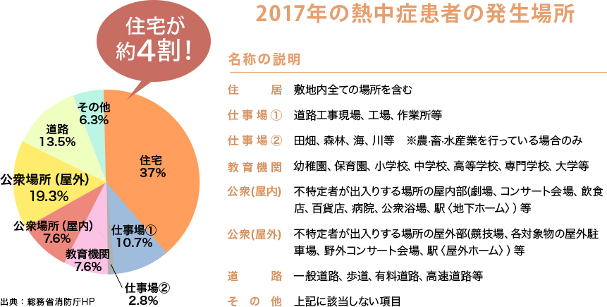2017年の熱中症患者の発生場所 