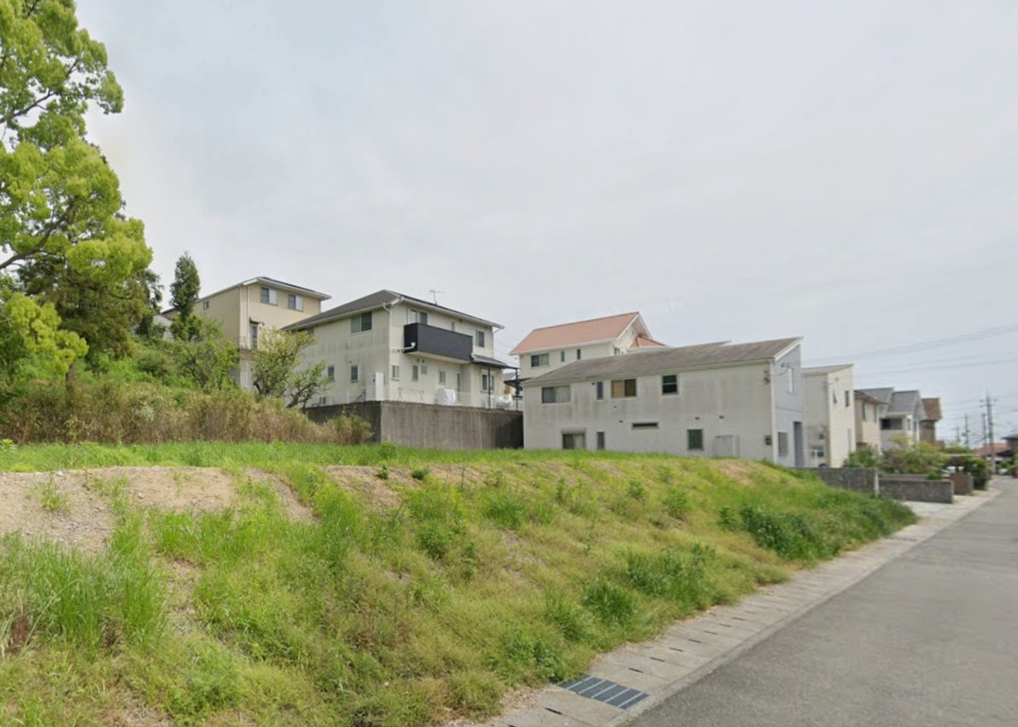 マグノリア白水 現地写真