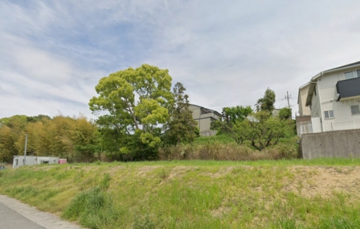 マグノリア白水 現地写真