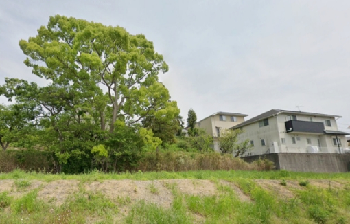 マグノリア白水 現地写真