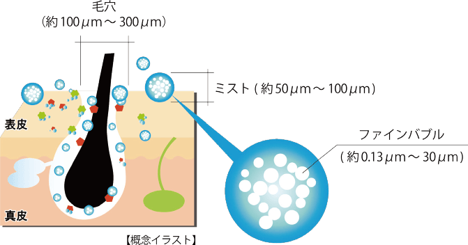 毛穴（約100μm～300μm） ミスト（約50μm～100μm） ファインバブル（約0.13μm～30μm） 【概念イラスト】