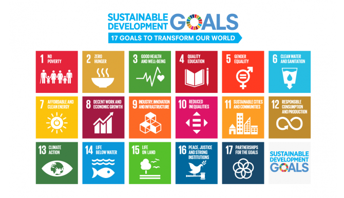 Sustainable Development Goals（持続可能な開発目標）
