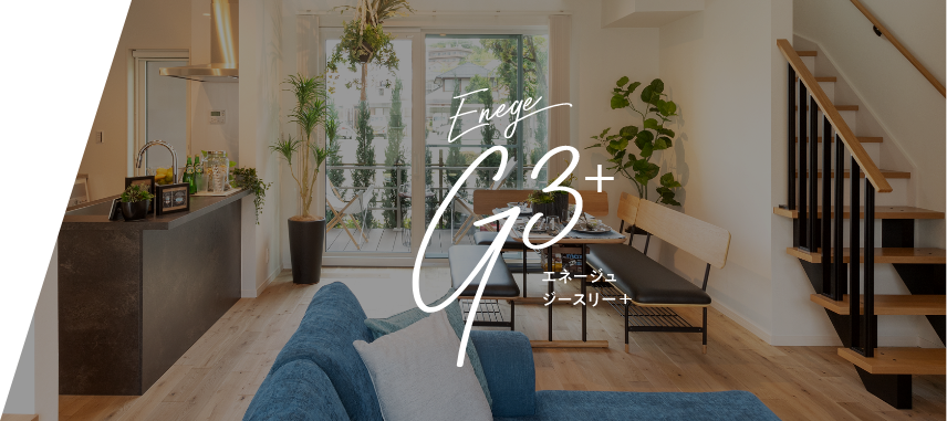 エネージュG3+