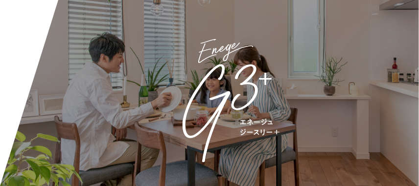 エネージュG3+