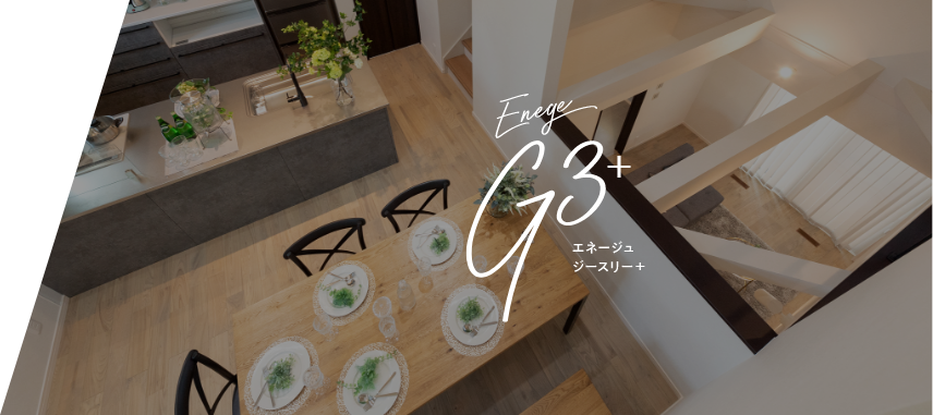 エネージュG3+