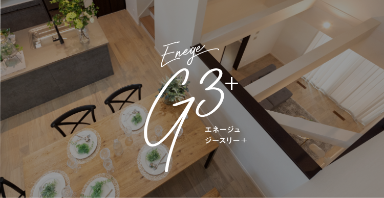 エネージュG3+