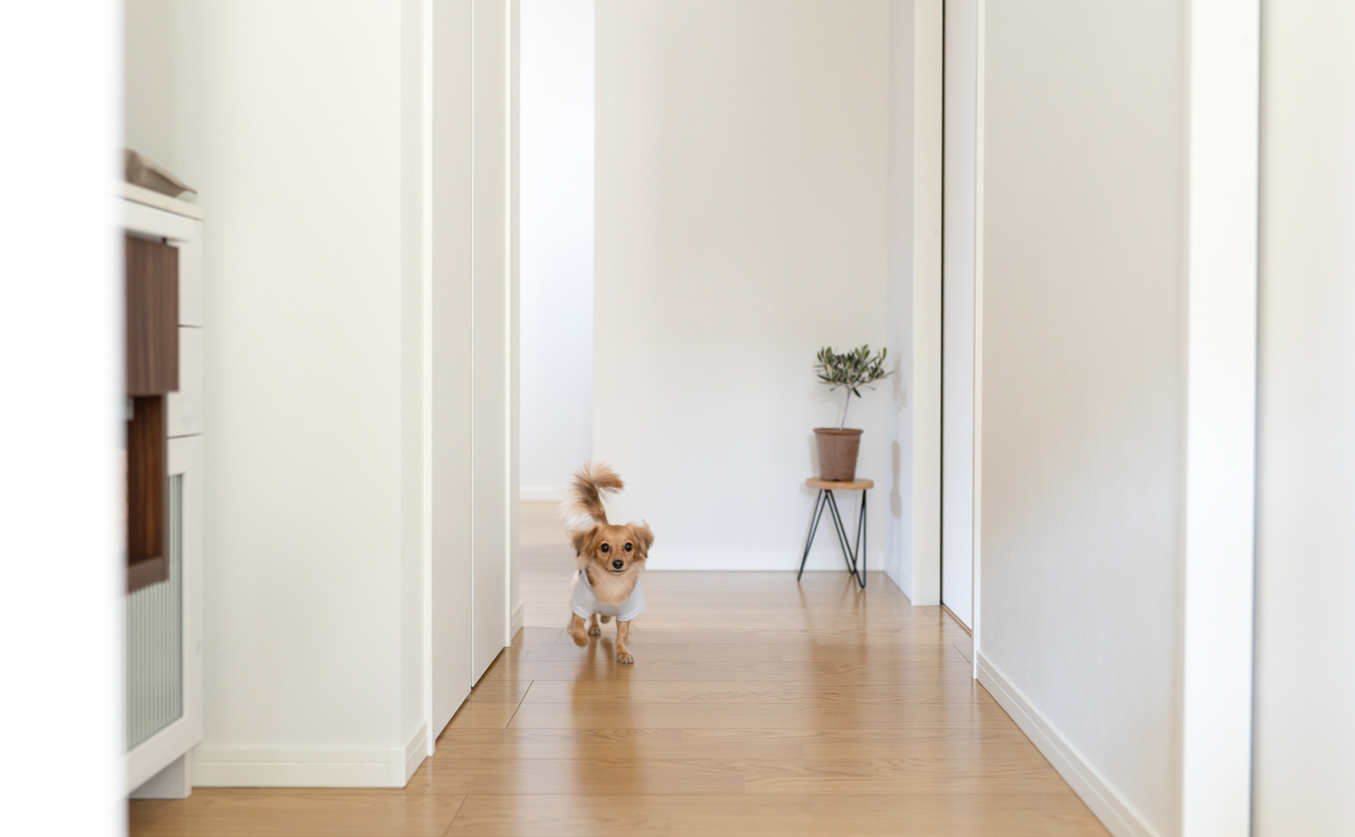 京都府:インタビュー