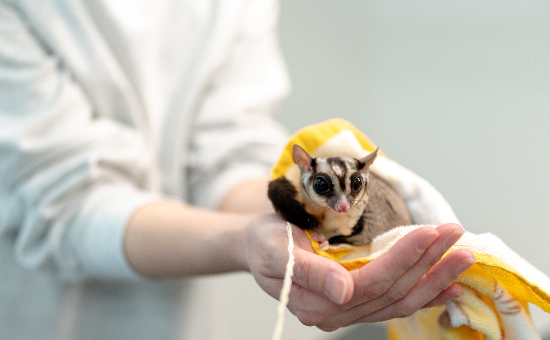 岡山県:インタビュー