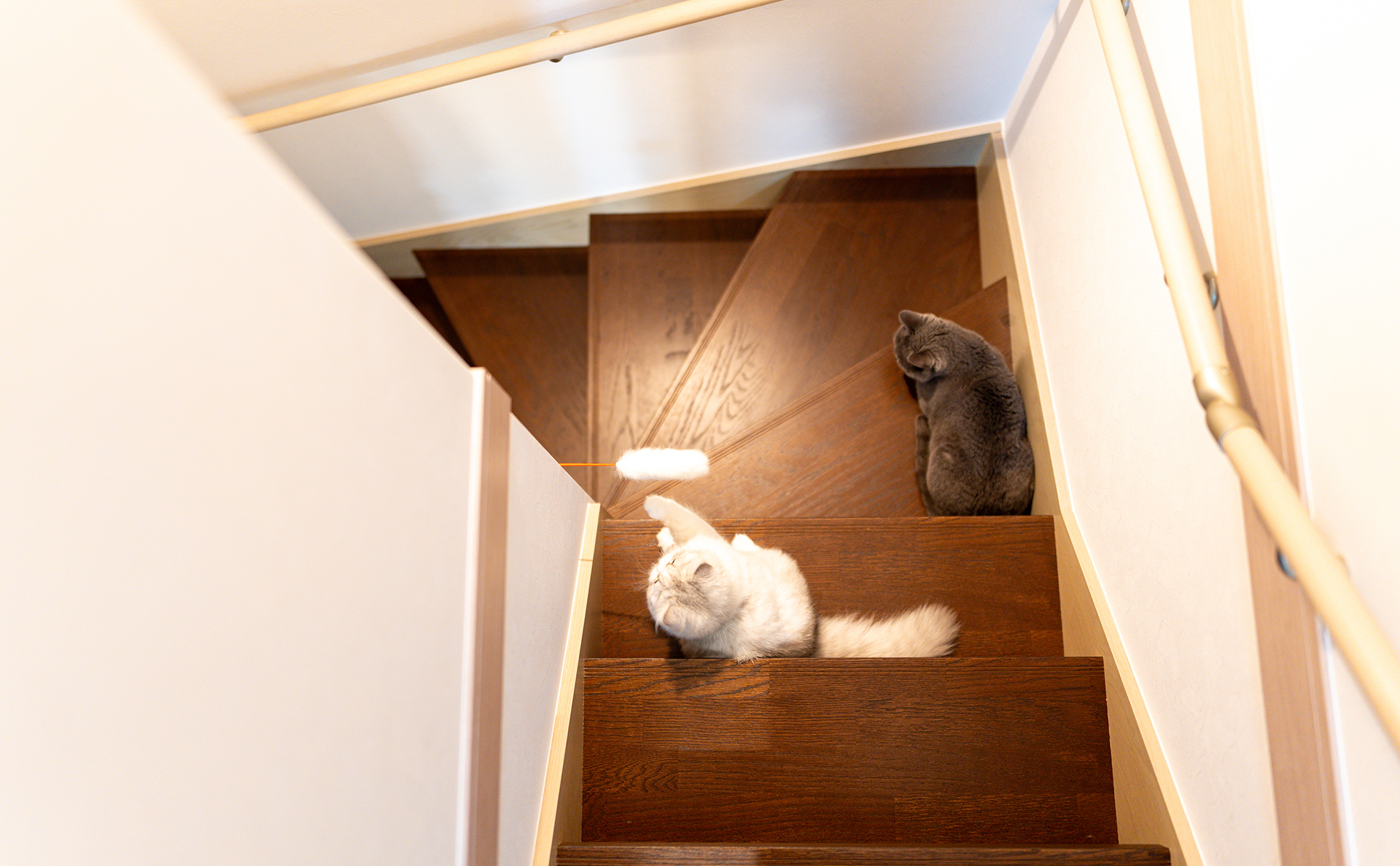 桜井市：インタビュー