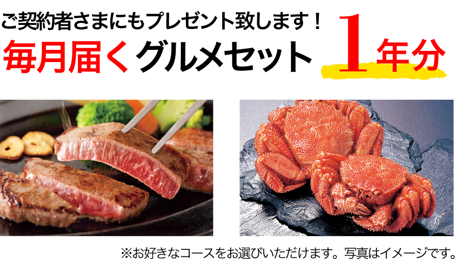 ご契約者様にもプレゼント致します！毎月届くグルメセット1年分