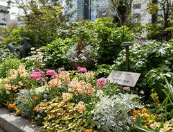 神戸市フラワーロード沿いに花壇を設置