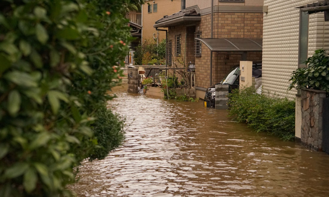 冠水した道路と住宅の様子