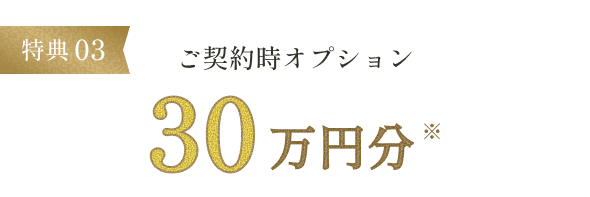 特典03 ご契約オプション30万円分※