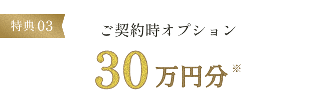 特典03 ご契約オプション30万円分※